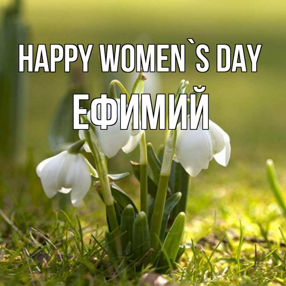 Greetings card с именем, Ефимий happy women`s day ранние цветы 2 Greetings with text for free download 